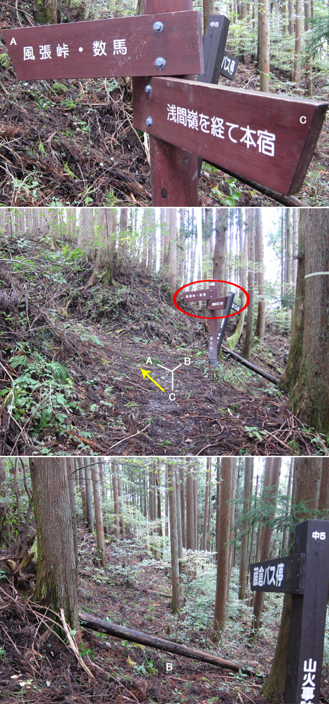20191031hike (298)